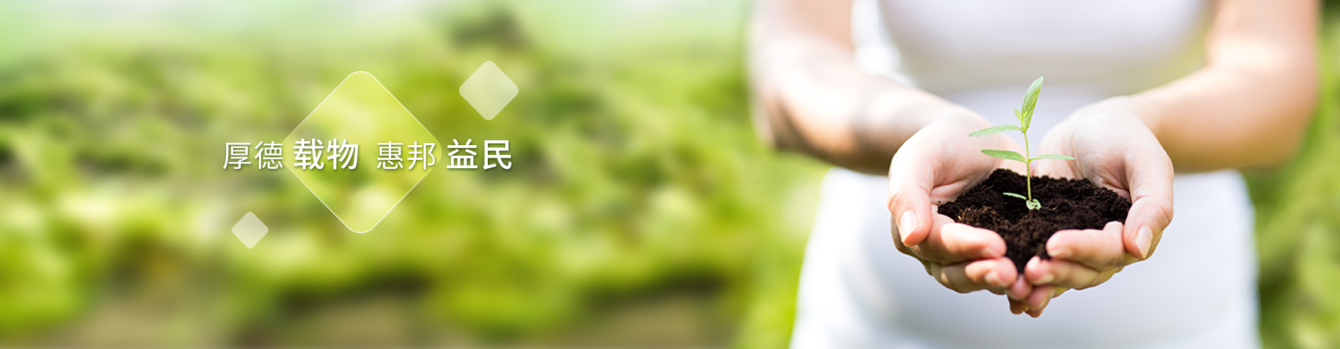 3499拉斯维加斯股份