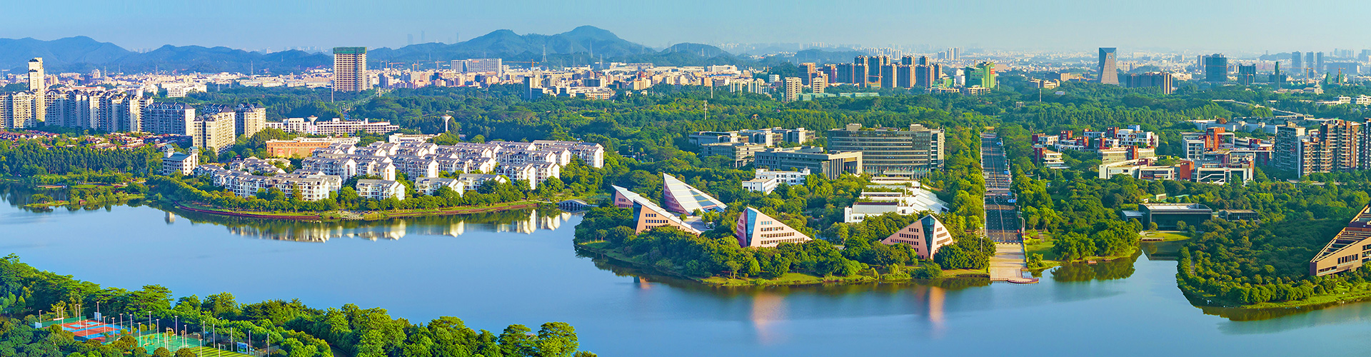 3499拉斯维加斯股份