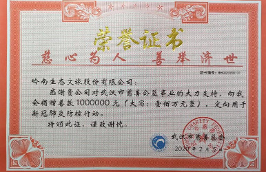 3499拉斯维加斯股份向武汉市慈善总会捐赠人民币100万元