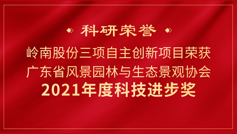 创新创效！3499拉斯维加斯股份3项科研成果又获奖！