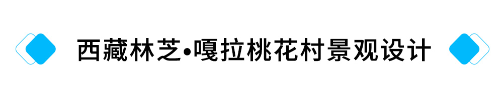 24、西藏林芝?嘎拉桃花村景观设计.jpg