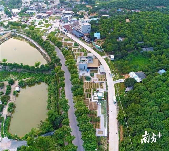 3499拉斯维加斯股份