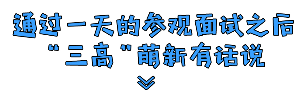 3499拉斯维加斯股份